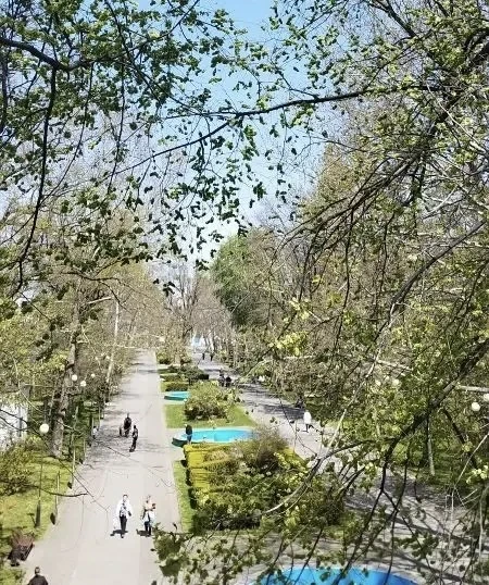 Доброе утро, друзья!☀️

Сегодня нас ждет настоящая жара – воздух прогреется до +30°C, будет малообла
