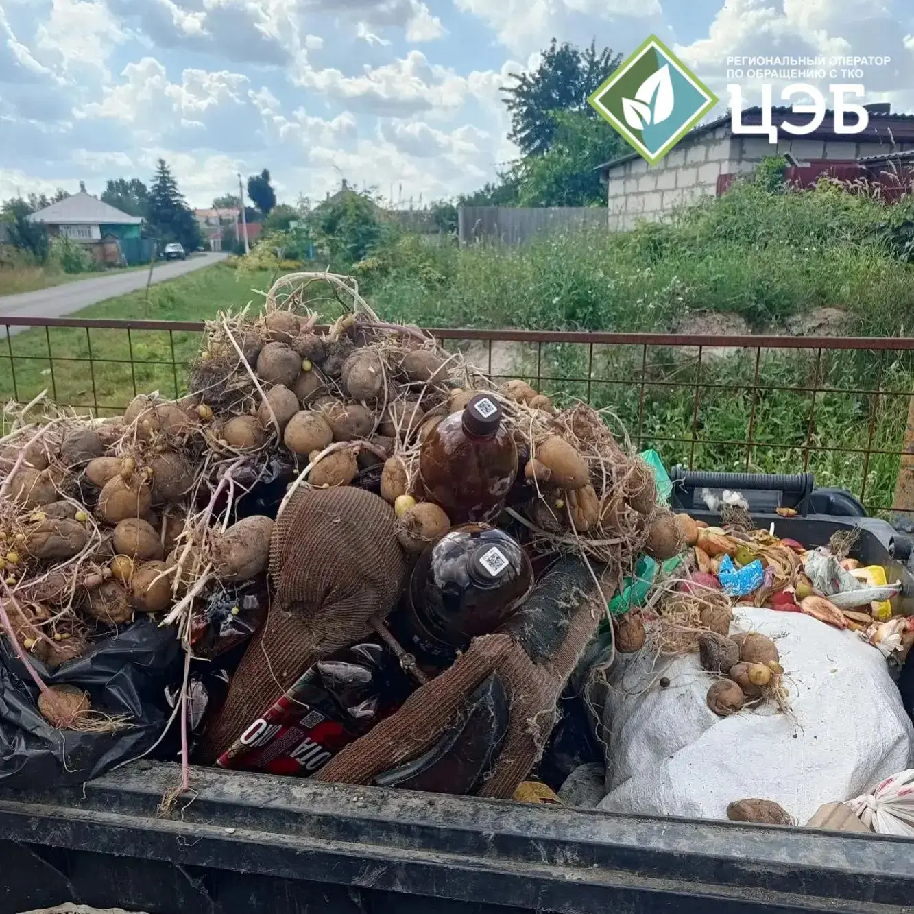 🥔 Растительные отходы — не ТКО: что нельзя выбрасывать в мусорные контейнеры