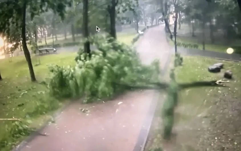 ЭКСТРЕННОЕ ПРЕДУПРЕЖДЕНИЕ № 205-07-06/372