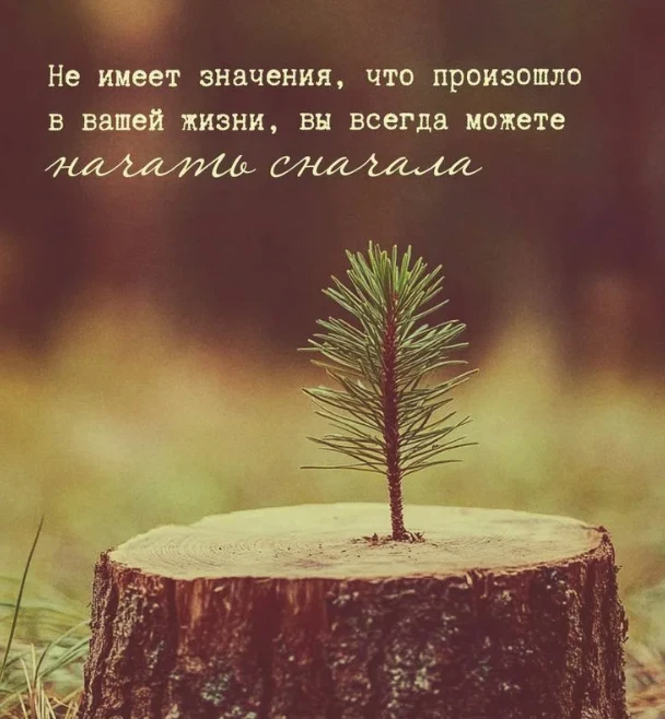 Как выглядит рука человека, который живёт "чужой жизнью".

🔮 Конфликт врождённого потенциала и факт
