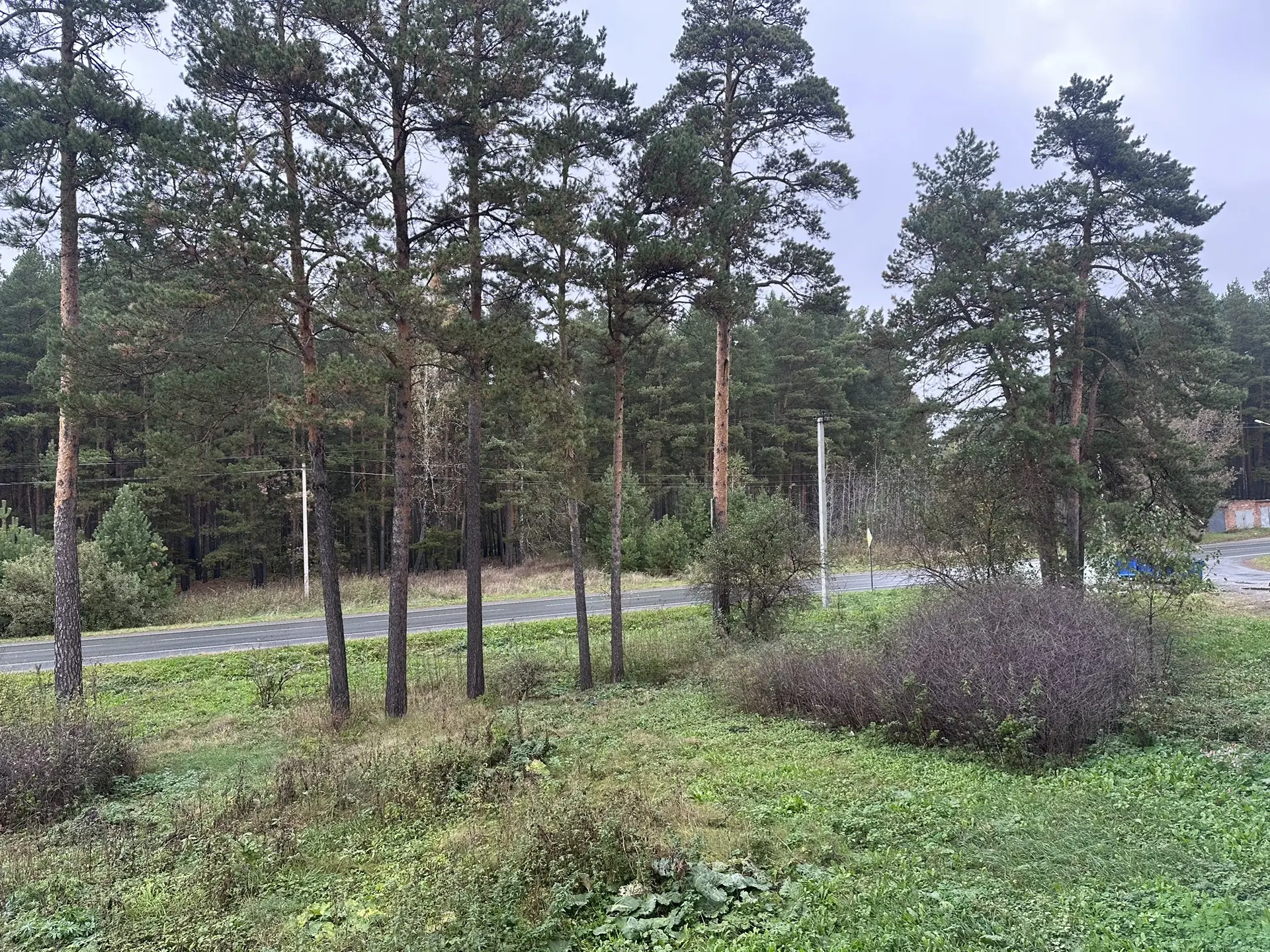 🌧️ Доброе воскресное утро, Богандинский!