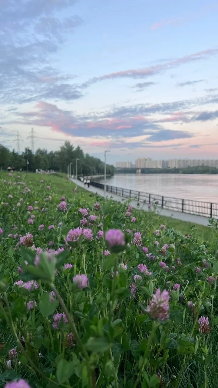 🌅 Рассвет на набережной в Марьино попал в объектив жителей

Утренний кадр передаёт тишину и мягкий 