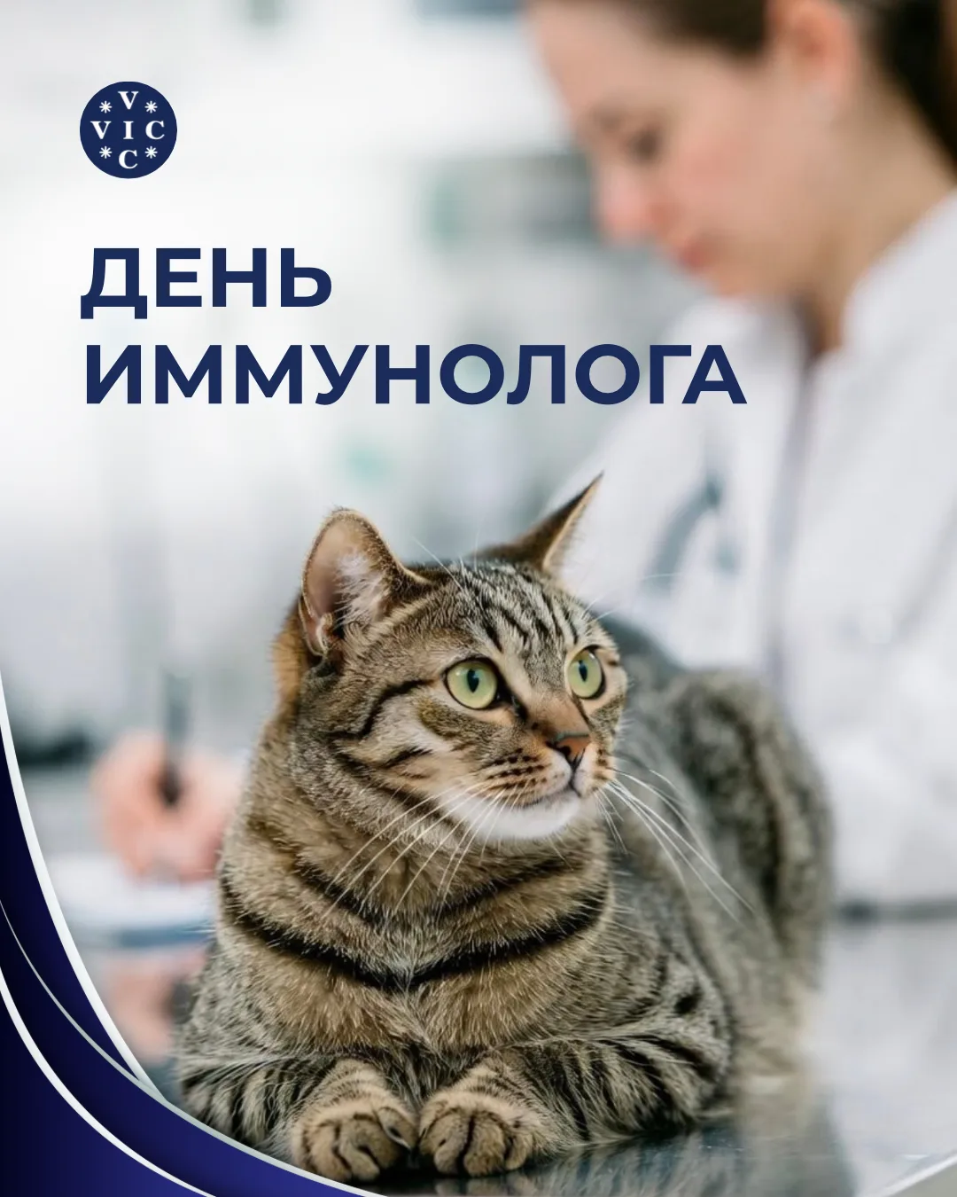 🩺 Сегодня — День иммунолога!