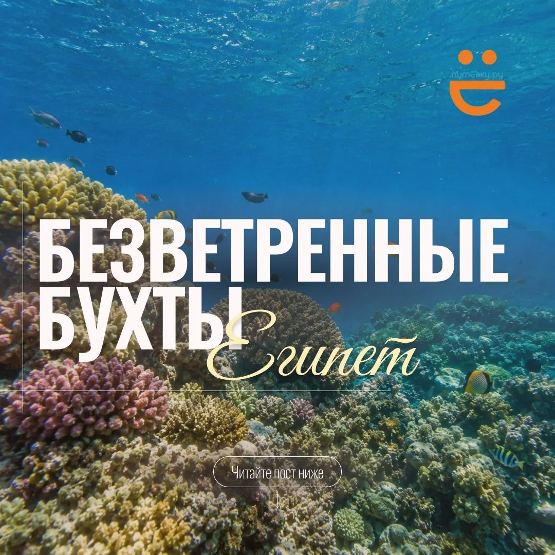 Готовимся к отпуску заранее: куда ехать в Египет зимой, чтобы не сдувало ветром?🇪🇬🌴