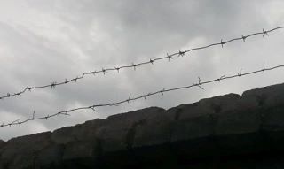 «Битцевский маньяк» пожаловался на отказ в переводе в колонию поближе к Москве
