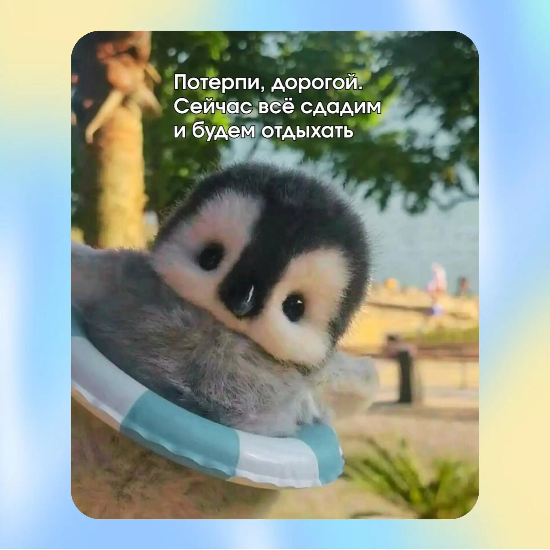 Завтра ЕГЭ по иностранному

Хотим пожелать вам не только good luck, alles Gute, bon courage и mucha 