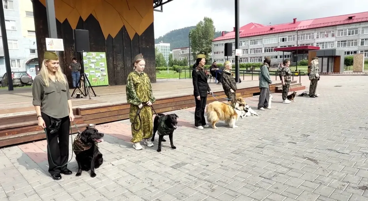 « Лохматые герои» так мы назвали программу , которая знакомит младших школьников с дрессировкой соба