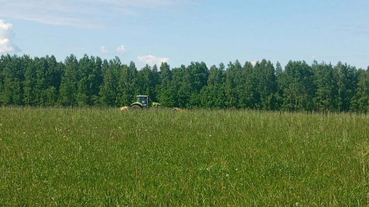 Куйбышевские аграрии приступили к заготовке кормов 🚜