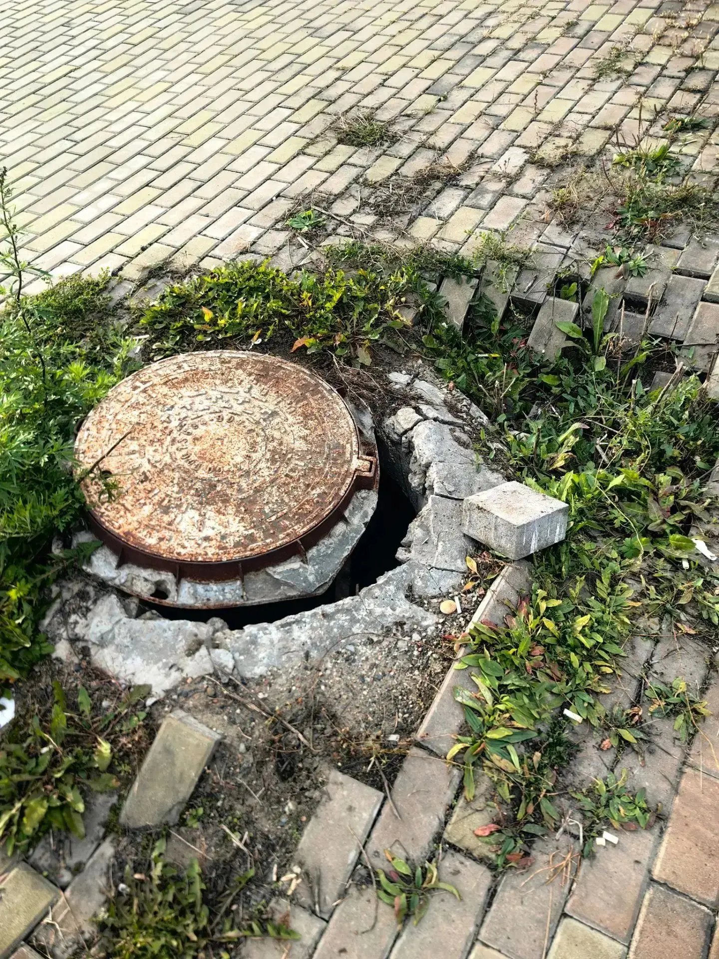 Просят разобраться с люком.