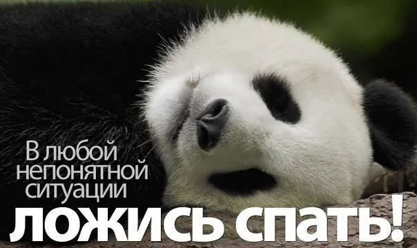 Всем спокойной ночи🤗