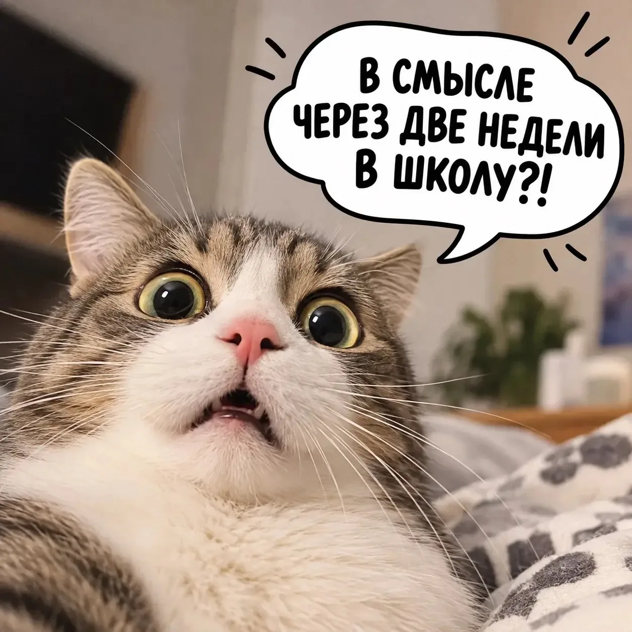 Мы ни на что не намекаем… 😄