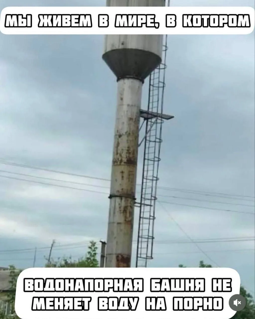 Шутки, над которыми я смеюсь.