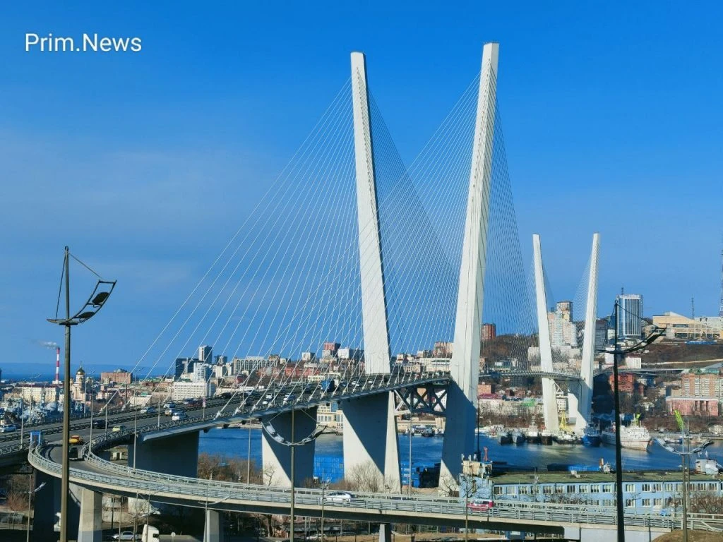 ❗️В Приморье на время проведения ВЭФ введут ограничения и запреты