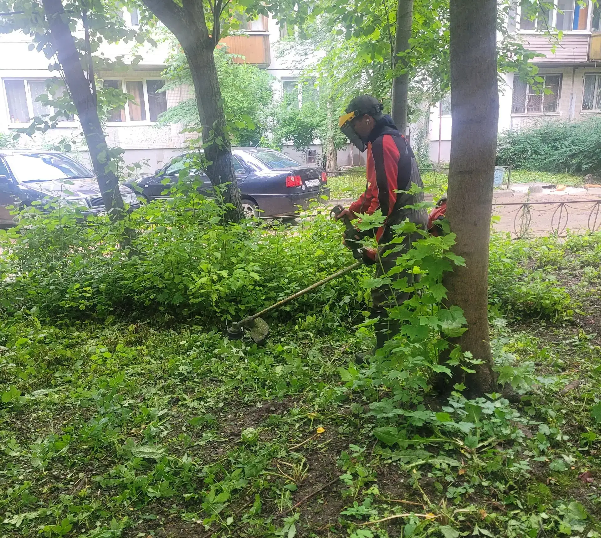 Покос газонов🌱🌿🍃