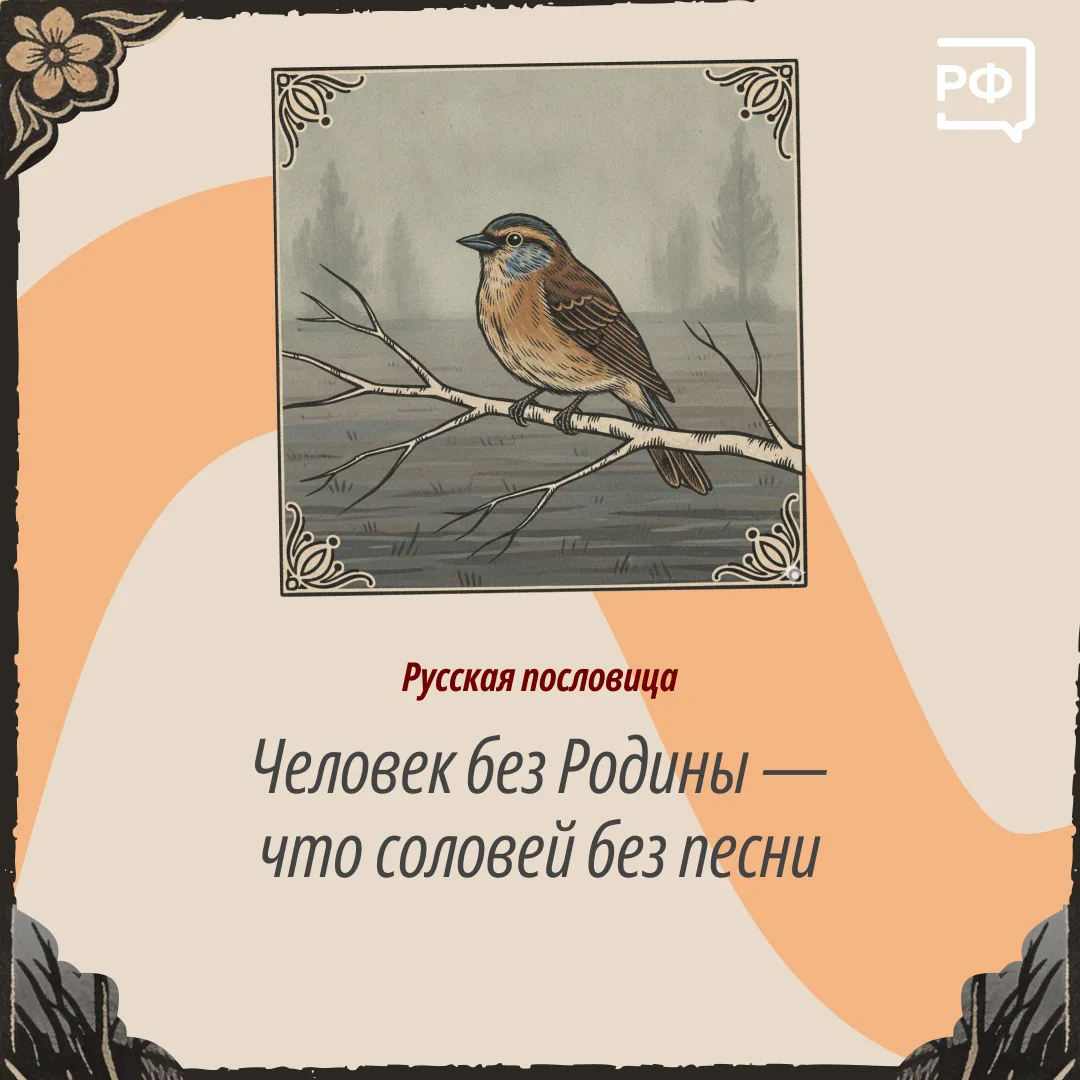 ✅ Слово «Родина» на всех языках звучит по-разному. Но значение одно — родная земля, где...