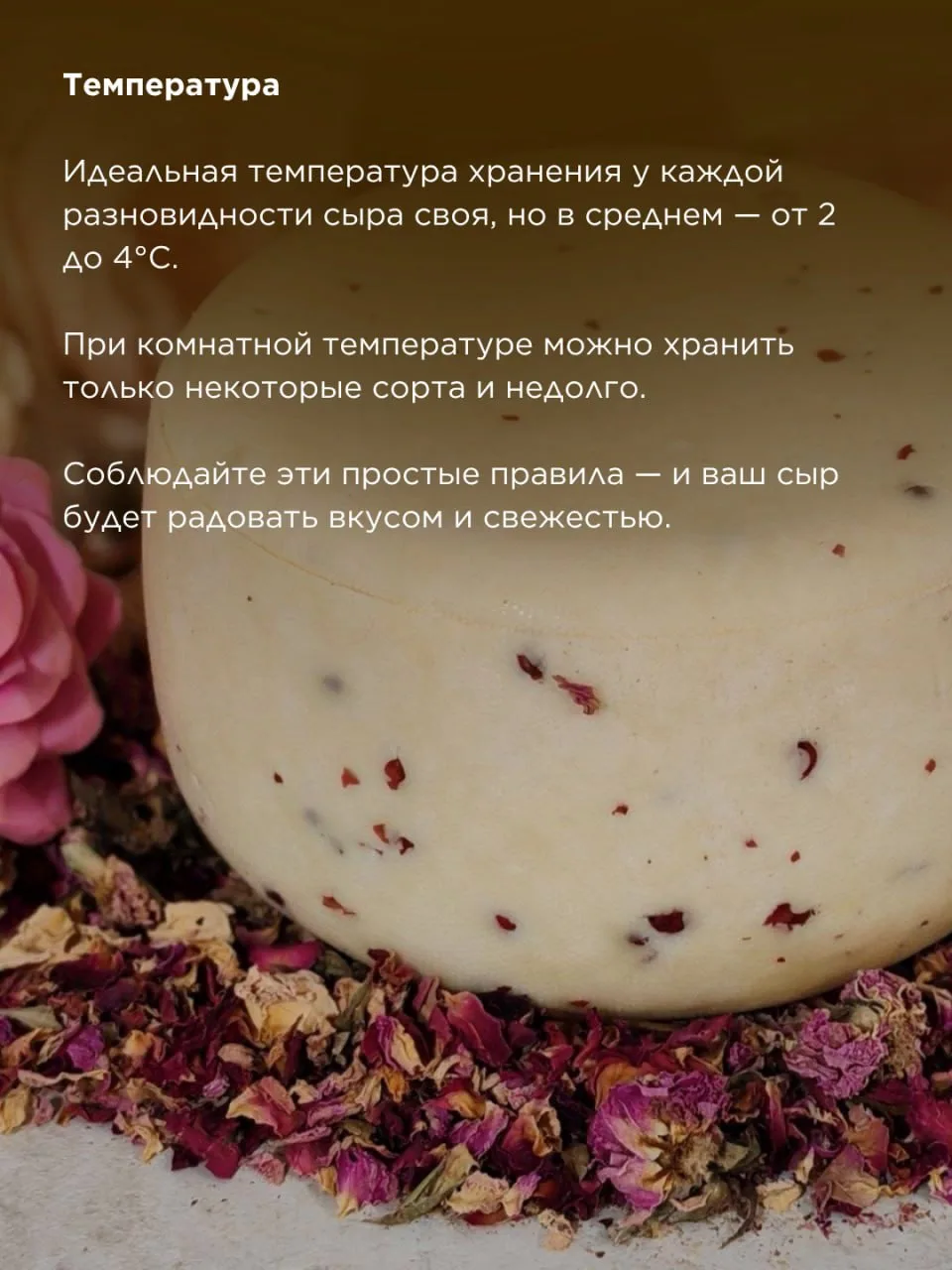 Изображение 5 к публикации «Школа Сыроделия Алексея Сыровера»