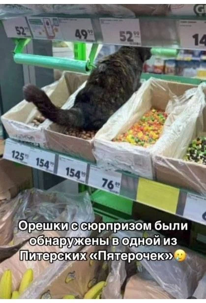 😂😂😂