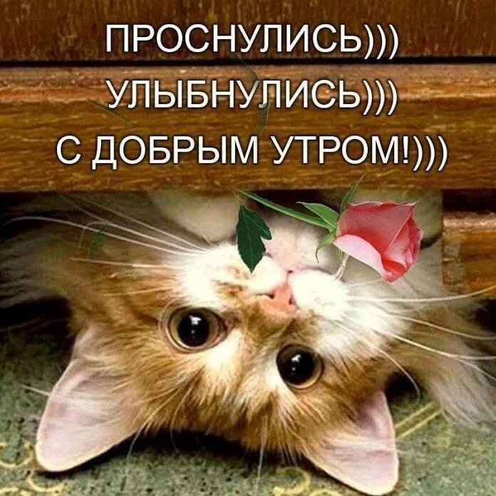 Галерея Открыток