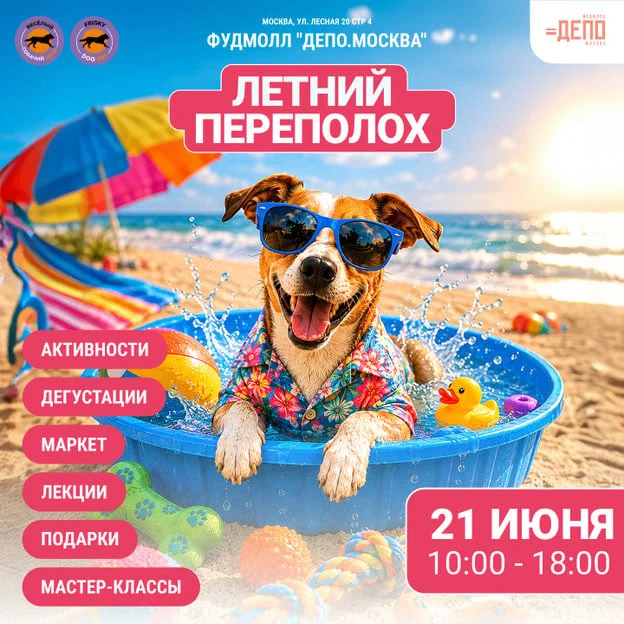 «ЛЕТНИЙ ПЕРЕПОЛОХ» – БОЛЬШОЙ ПРАЗДНИК ДЛЯ СОБАК И ИХ ЛЮДЕЙ

Гостей ждёт насыщенная программа: маркет