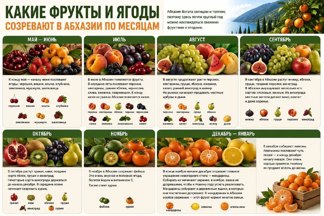 Какие фрукты и ягоды созревают в Абхазии по месяцам