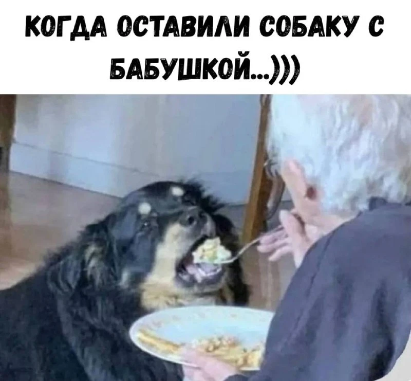 🔹 Кушай как следует, совсем исхудала 😄