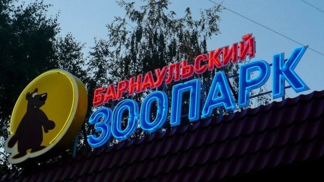 Путеводитель по городу для любознательных школьников
