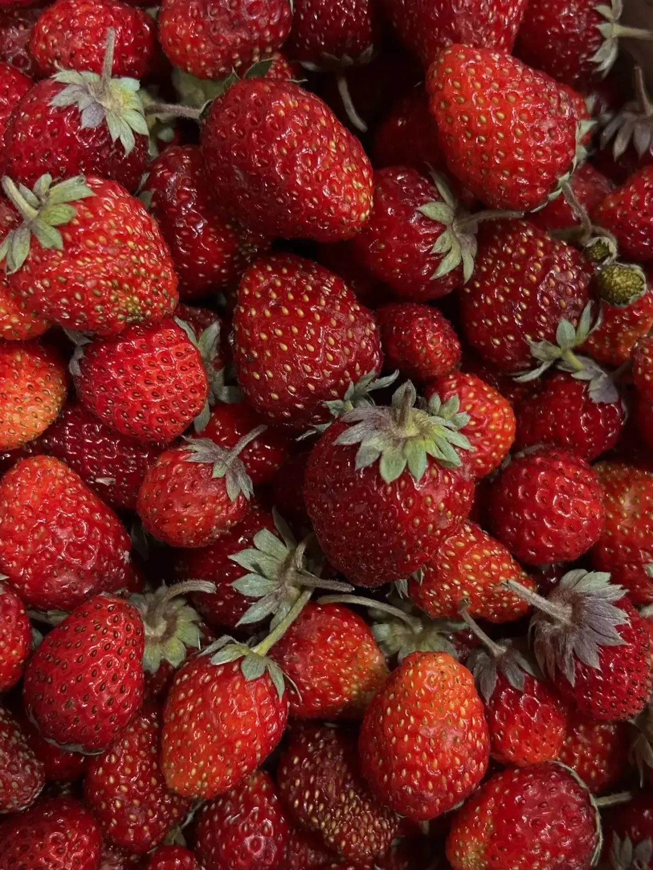 🍓 Фура с клубникой уже в пути в Тюмень!  Друзья, отличные новости — свежая клубника уже совсем скоро