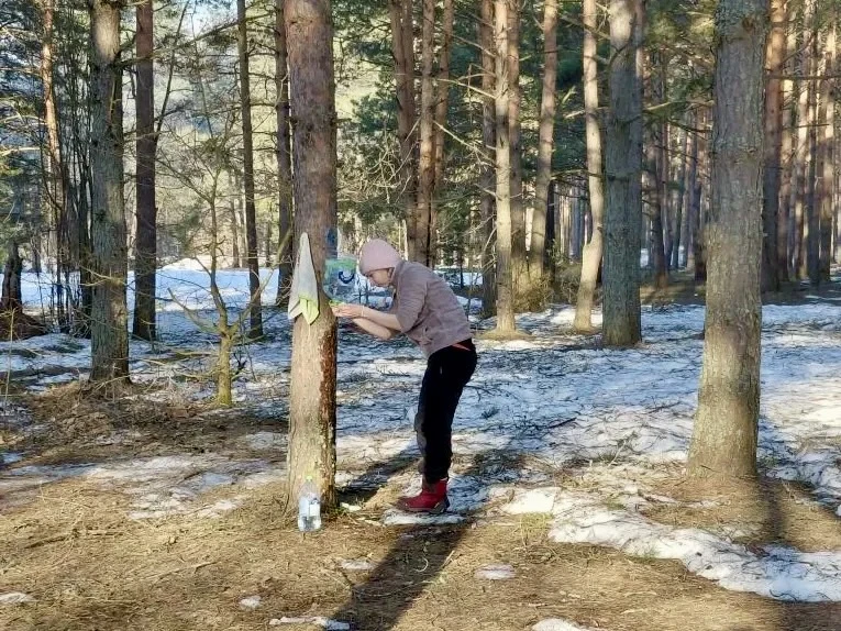 Двухдневный поход удался: наши туристы дома  🏕️ Счастливые, немного уставшие, но полные впечатлений,