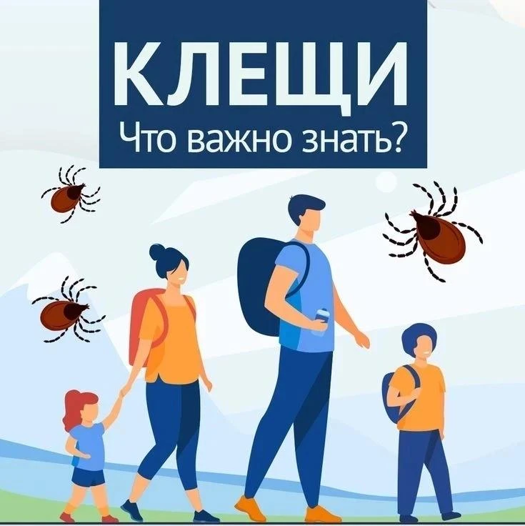 Клещи: как защититься от укусов 😷 

❗Клещи могут переносить опасные заболевания, такие как клещевой