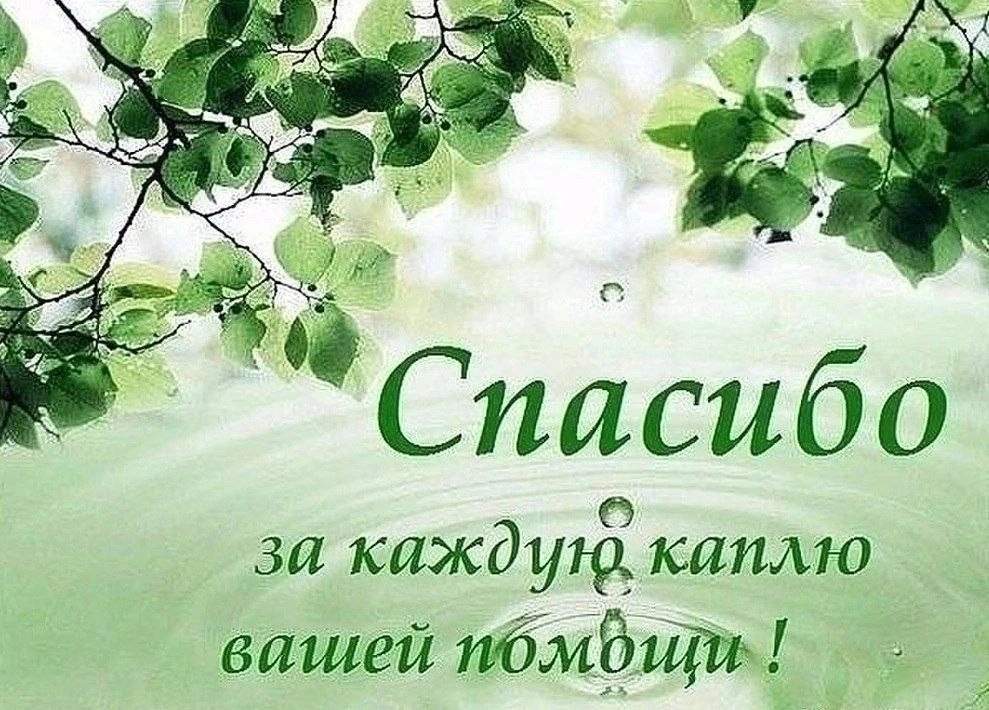 Возлюбленные братья и сестры! Дорогие друзья!  

Коленопреклонно просим помочь нам совершив святую м