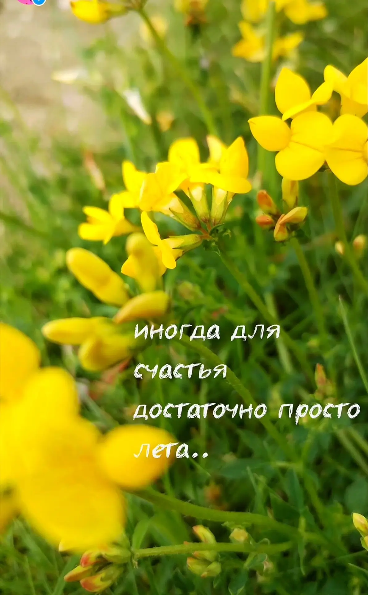 Лето пришло неожиданно, как старый друг, который заглянул в гости без предупреждения, н...