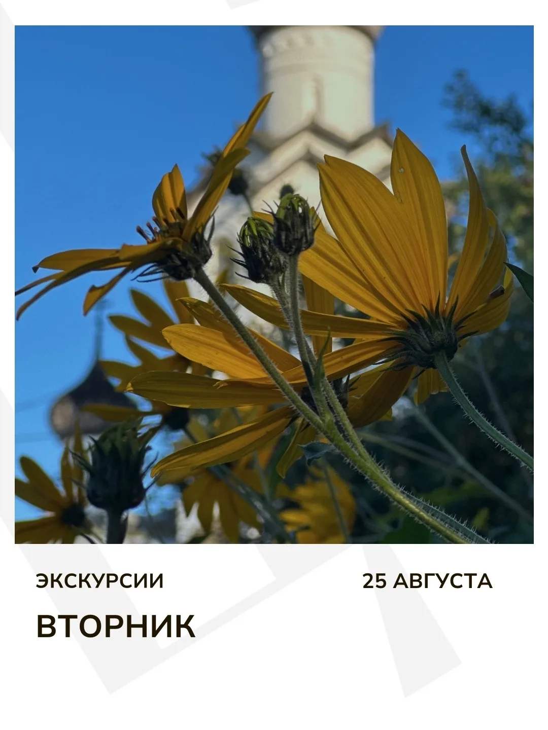 Экскурсия дня