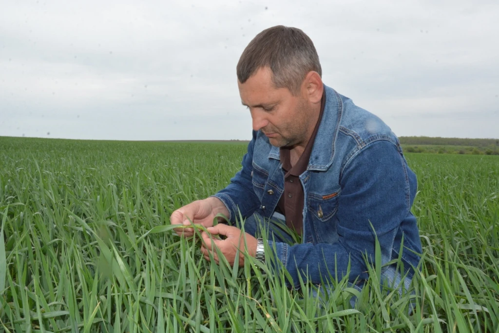 🚜🌱 Алексей Беликов: о посевной кампании, видах на урожай и семье…  ✅ Весенняя страда для аграриев – 