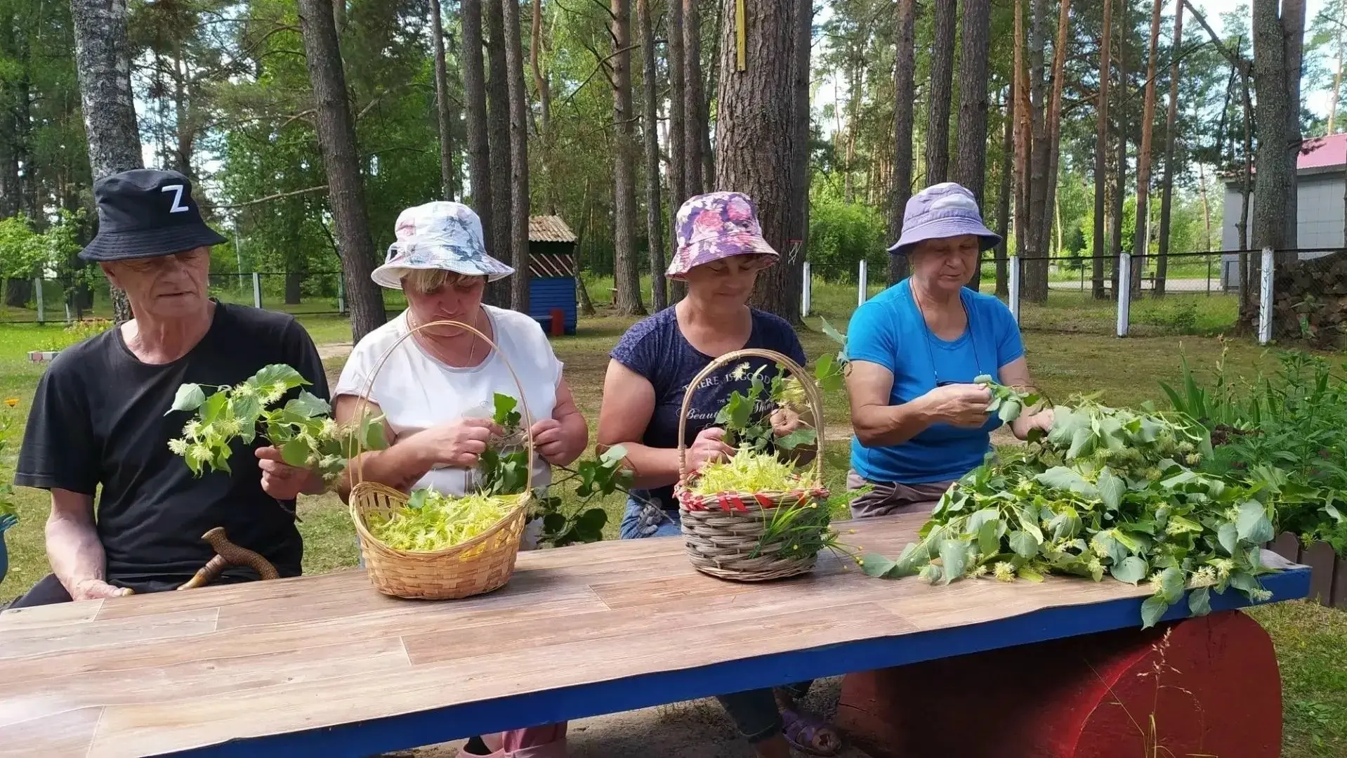 🍃Аромат лета и польза природы

🏡🌳В Студенецком доме-интернате для престарелых и инвалидов состоял
