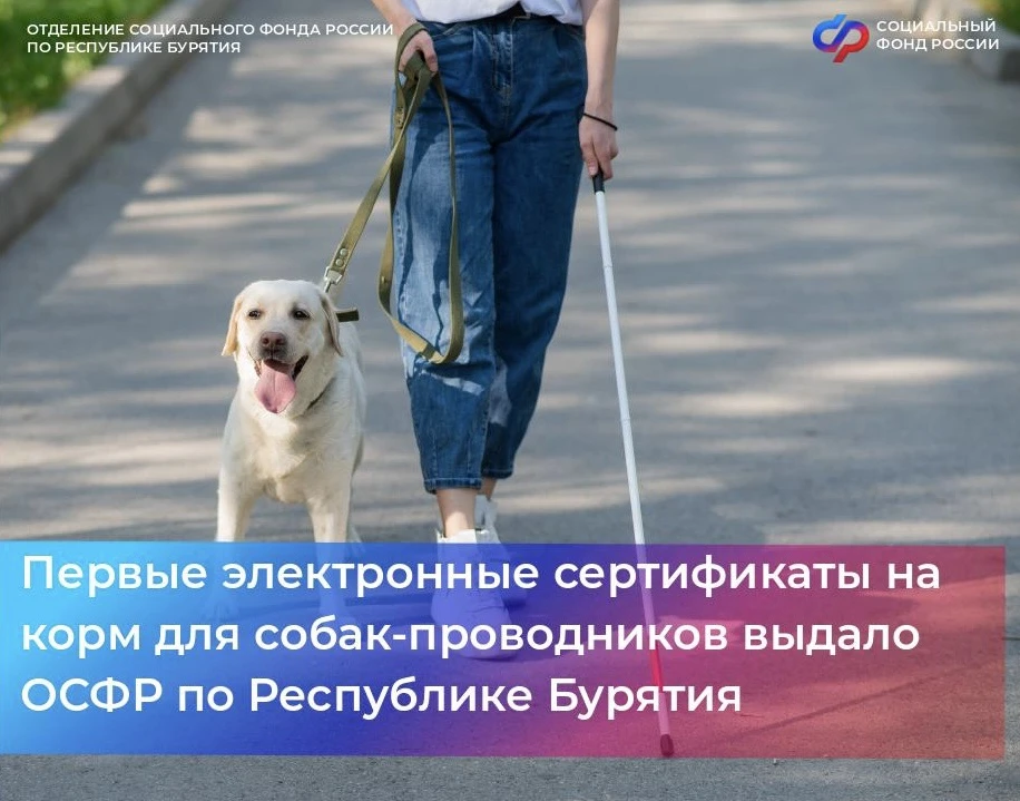 Начиная с марта 2026 года с помощью такого сертификата владельцы собак-проводников в Бу...