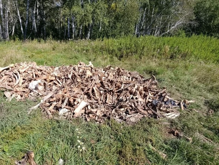 Омские СНТ оказались "рассадником" незаконных свалок туш животных.