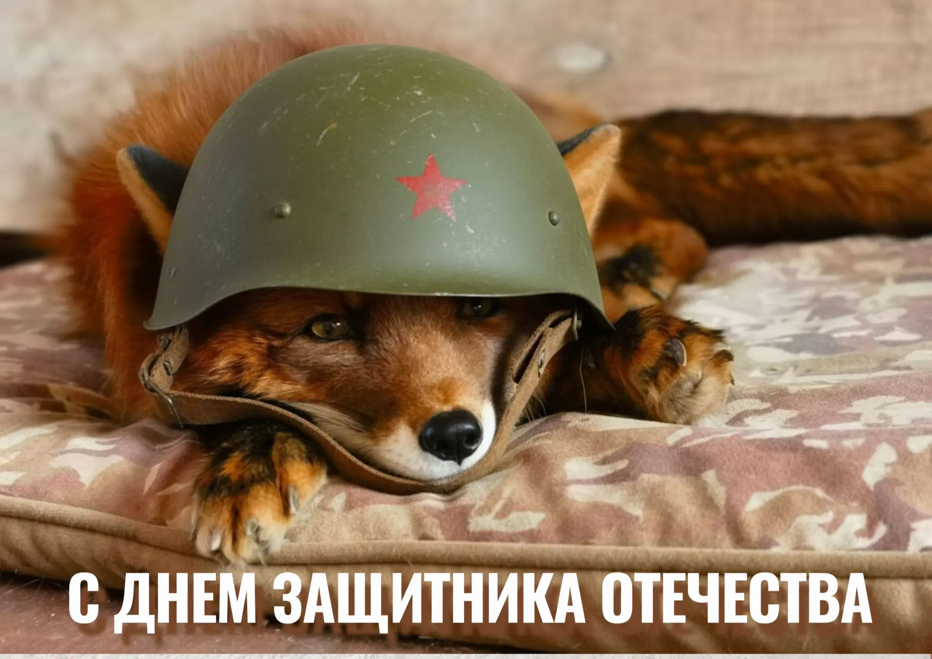 Дорогие мужчины! Желаем вам спокойствия и уверенности в завтрашнем дне. С праздником!