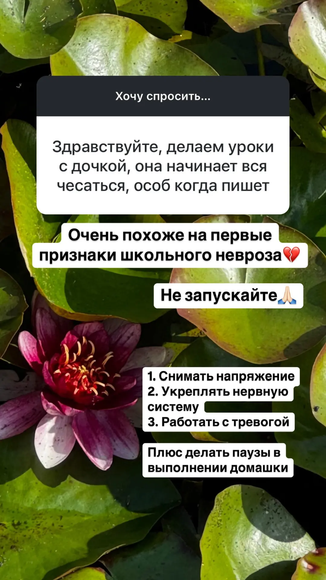Вчера в запрещенке отвечала на вопросы. Очень много было вопросов про перегруз у детей…...