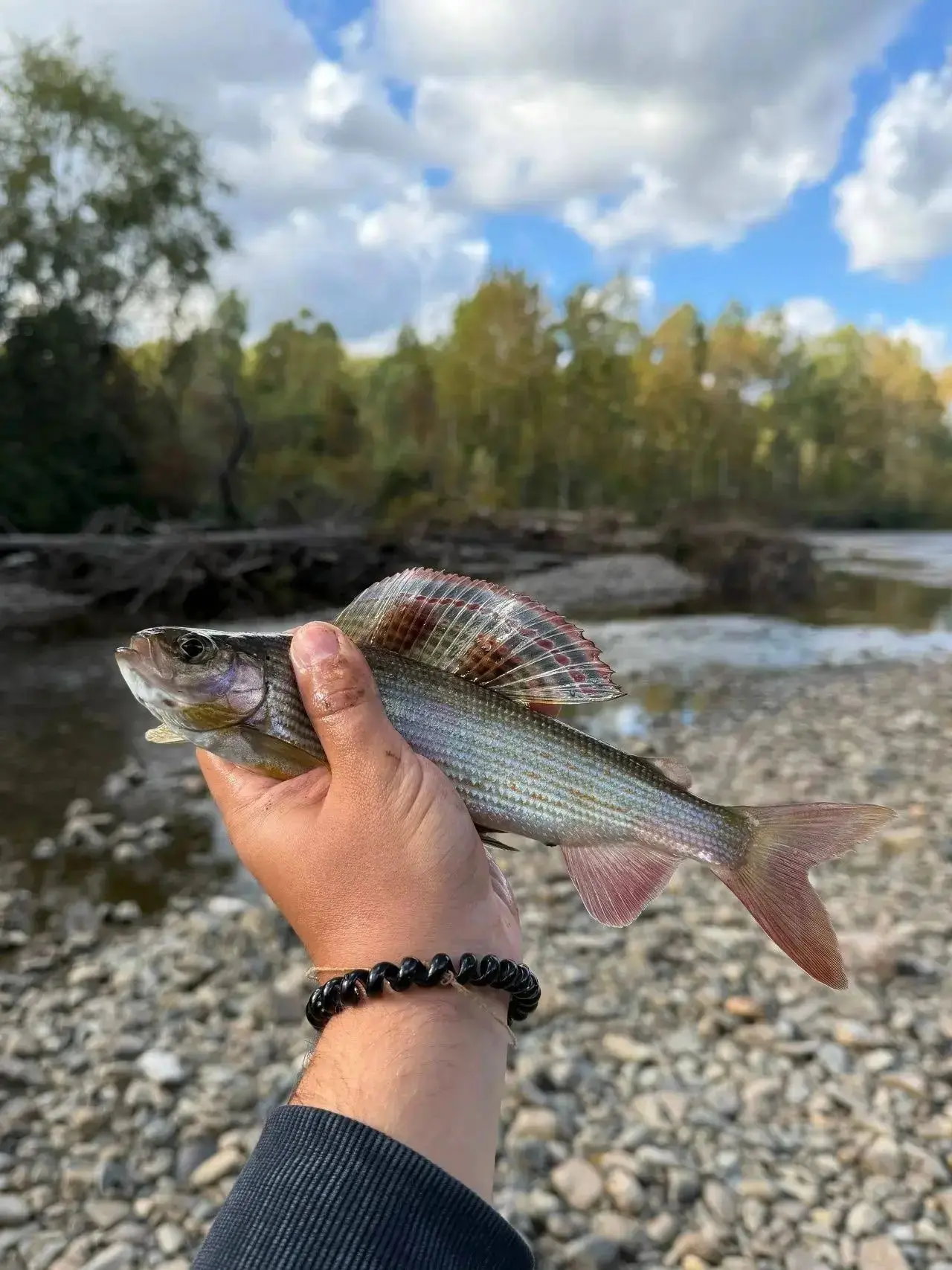 ❗Создали канал 🐟🏔🎣