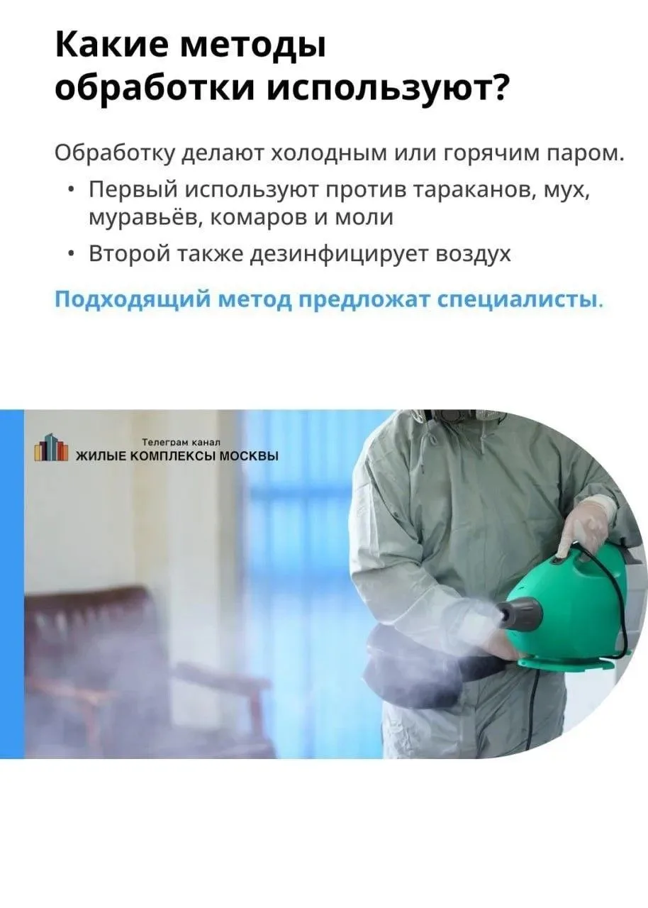 ☯️Про тараканов  ‼️Заметили таракана на лестничной клетке или в квартире?  ⚪️Насекомые в доме — сюрп