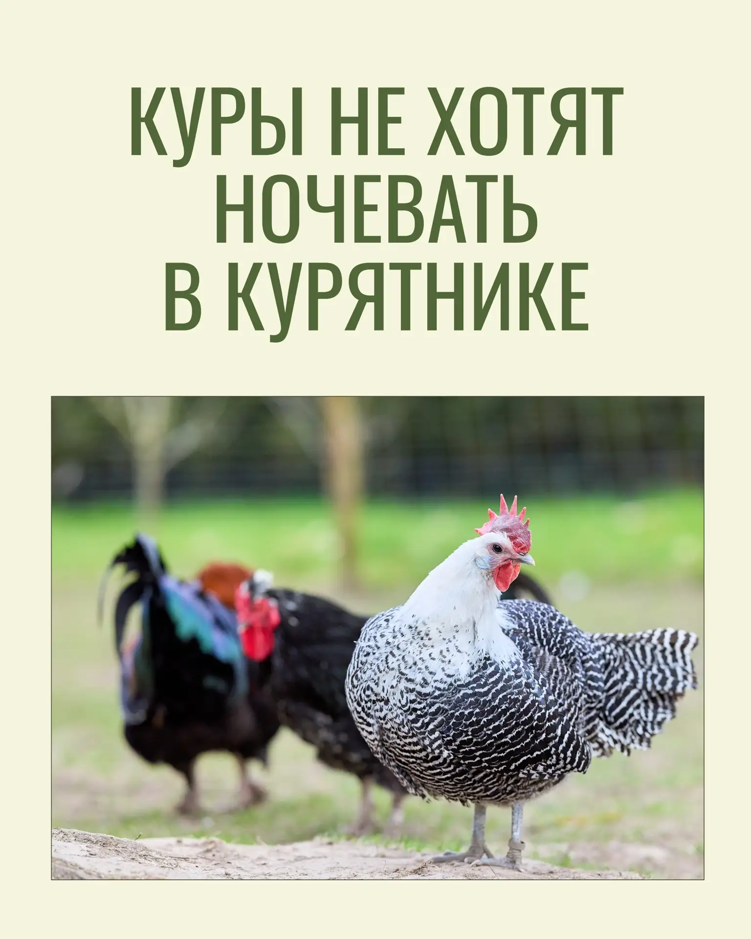 Разберем частозадаваемую сейчас тему👇🏻