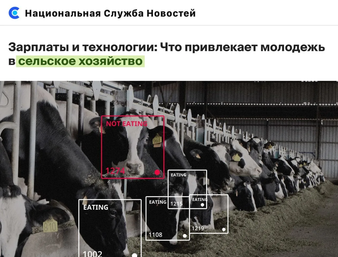 Зумеры уходят в сельхоз: сейчас агрономы в России получают до ₽300'000, а зоотехники — ...
