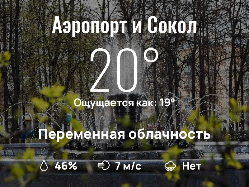 Что с погодой в Аэропорте и Соколе?

Одевайтесь по погоде, берегите себя!
Отличного дня, соседи!

#п