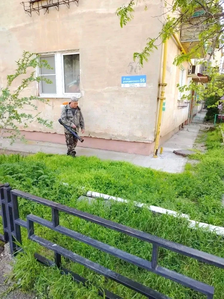 К новости «🌿 Дышим легко и гуляем с удовольствием!»