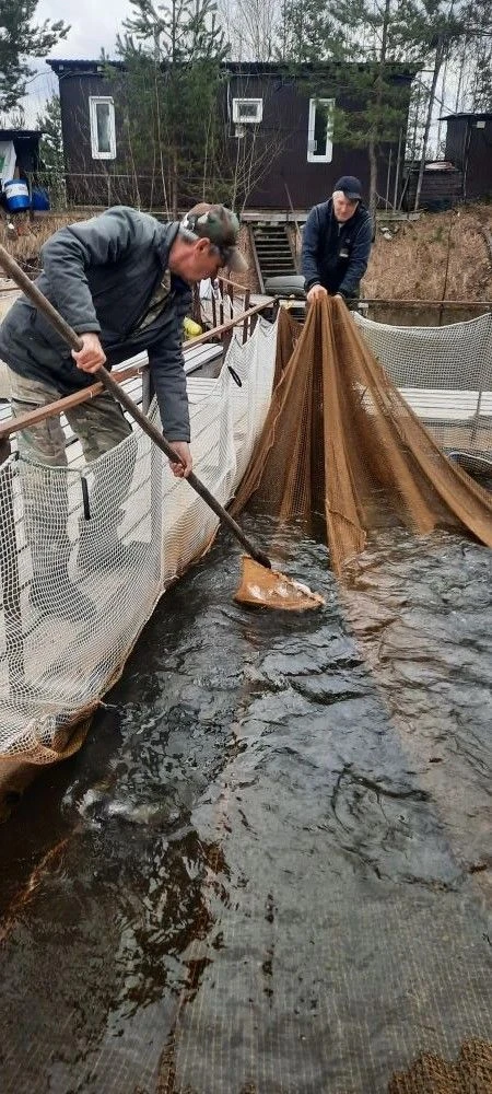 В MariLand ни дня без событий💫У нас очередное зарыбление водоемов! В этот раз пополнил...