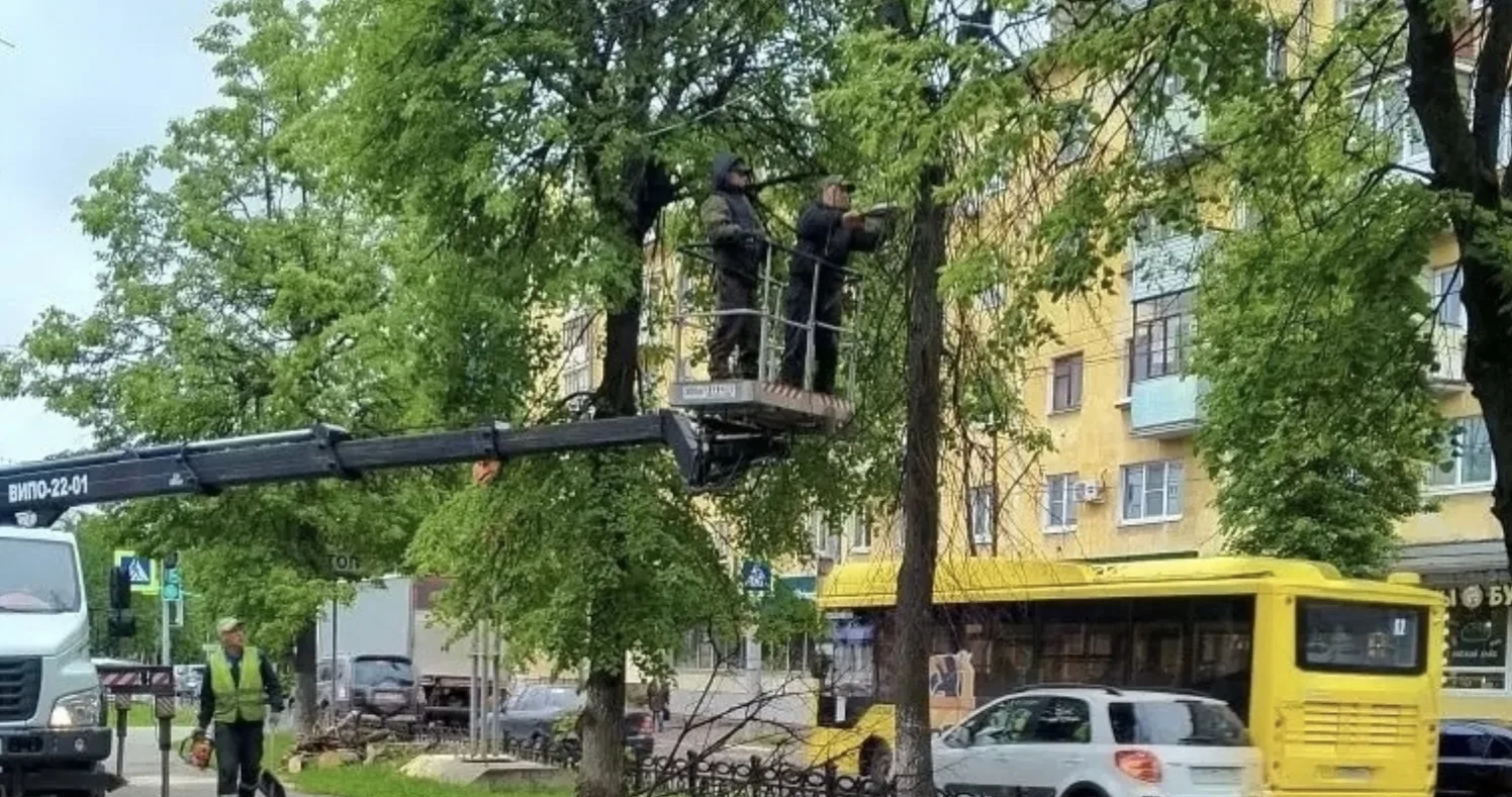 🌳 В Ярославле продолжаются работы по комплексному благоустройству территорий. Об этом ...