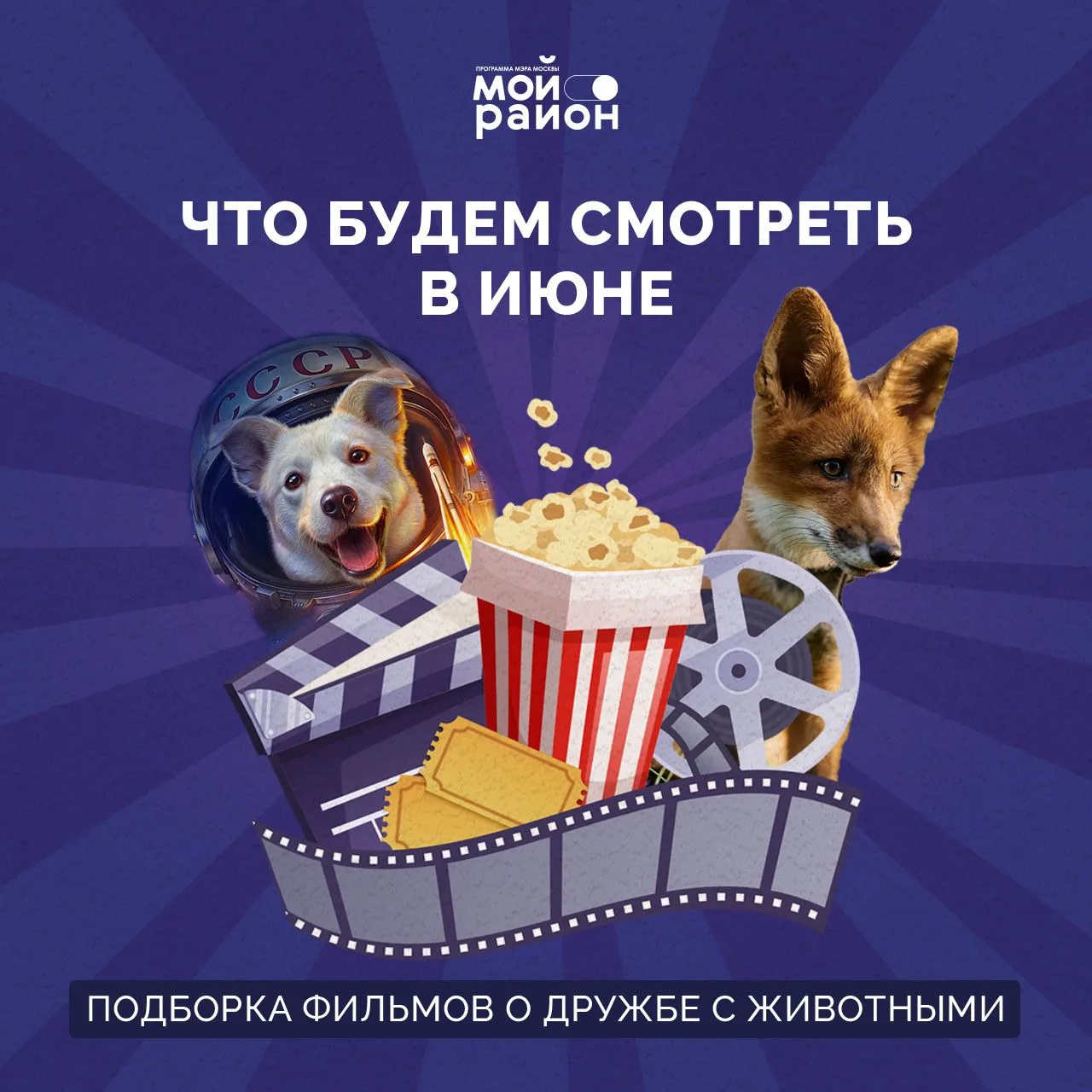🍿Мальчик Саша, спасающий лисёнка от браконьеров, смотритель зоопарка, вынужденный попр...