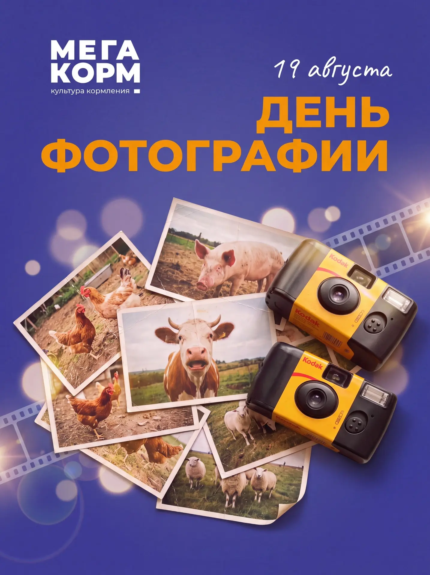 Сегодня - Всемирный день фотографии! А значит, официальный повод достать из галереи сам...
