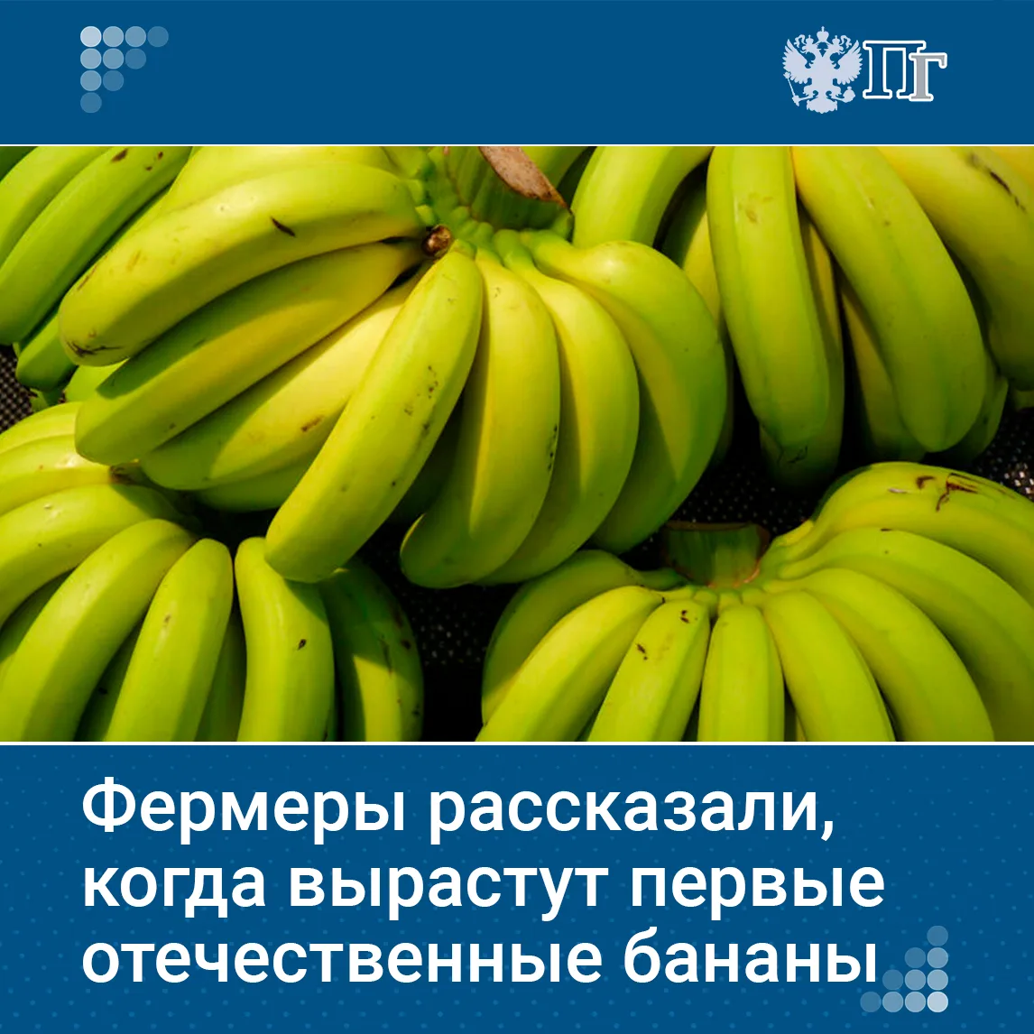 На третьем форуме тружеников села и конкурсе достижений в области органической продукции в России фе