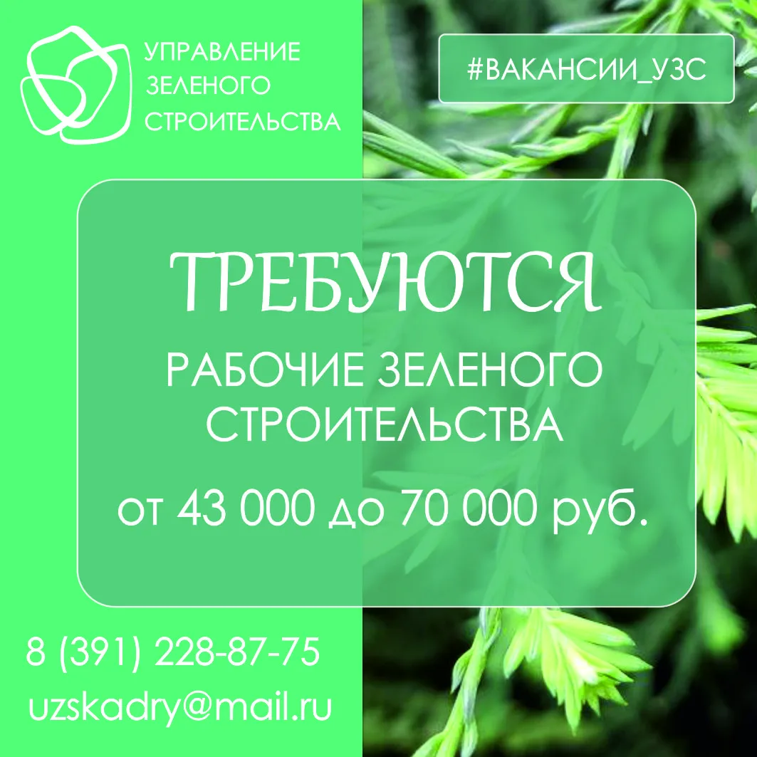 Открыты новые вакансии!

В нашу дружную команду требуются:

🌱рабочие зеленого строительства - зараб